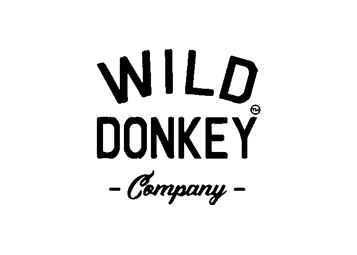 Wild Donkey